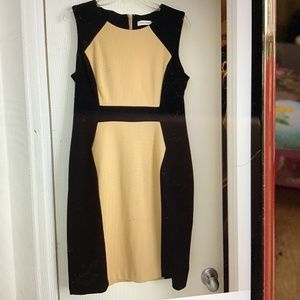 Calvin Klein Dress